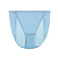 Blue Plain Color Sexy Cosy Silk Brief Underwear Seamless Silk Panty - TeaseFashion