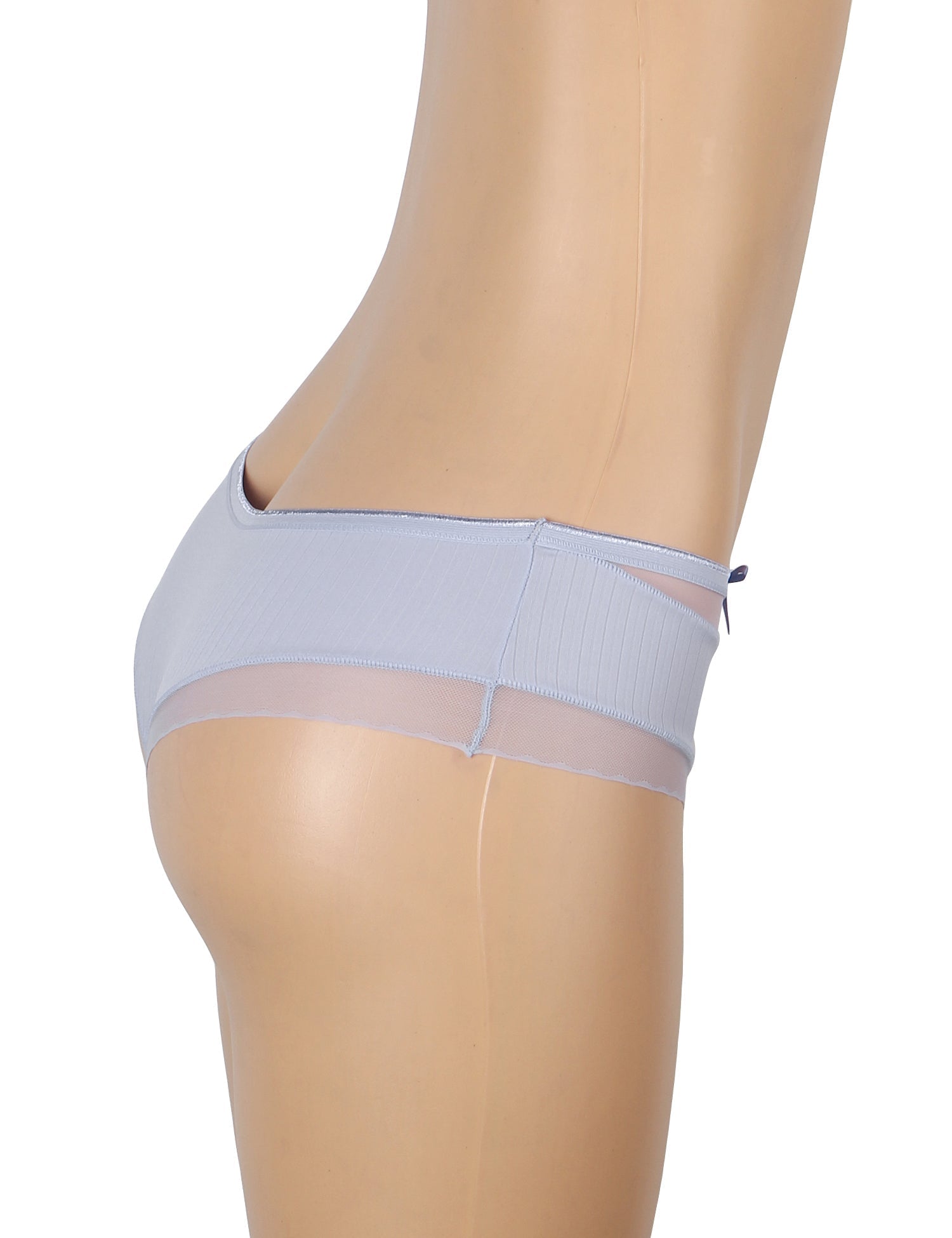 Purple Striped Brief with Mesh Front Panel & 3D Bow - TeaseFashion