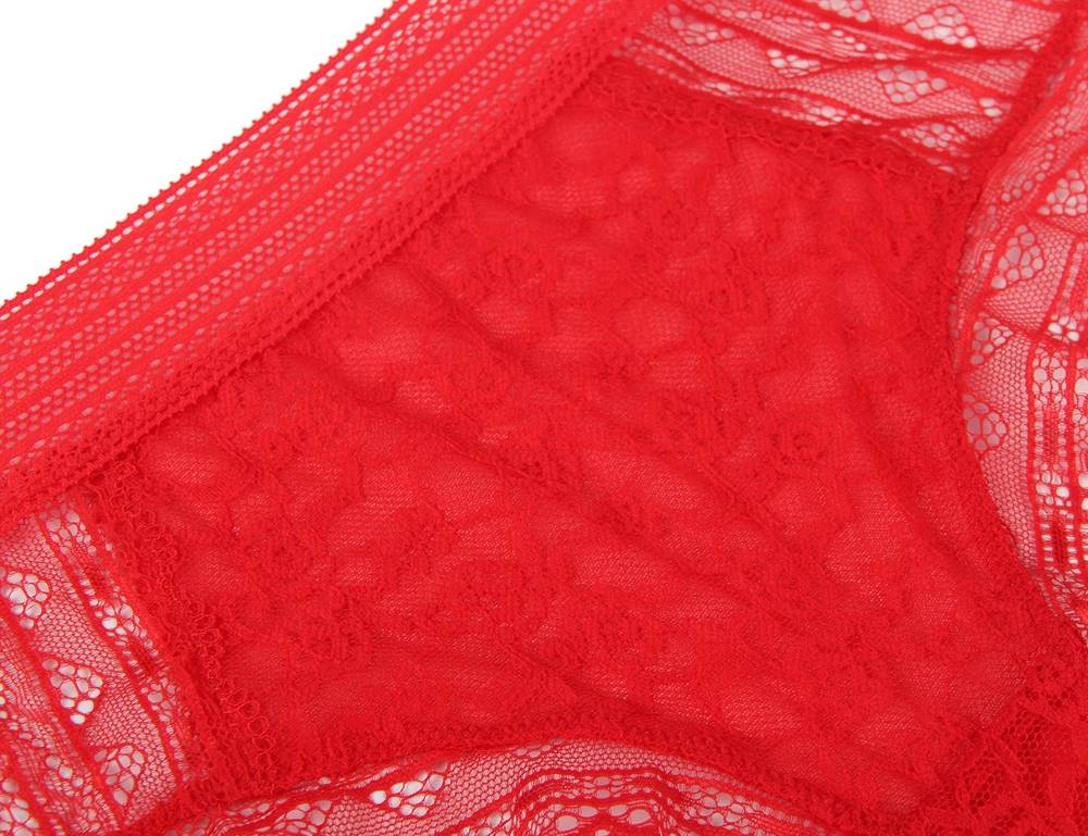 Red 3D Floral Lace Panty – Mid - Rise with Cotton Lining - TeaseFashion