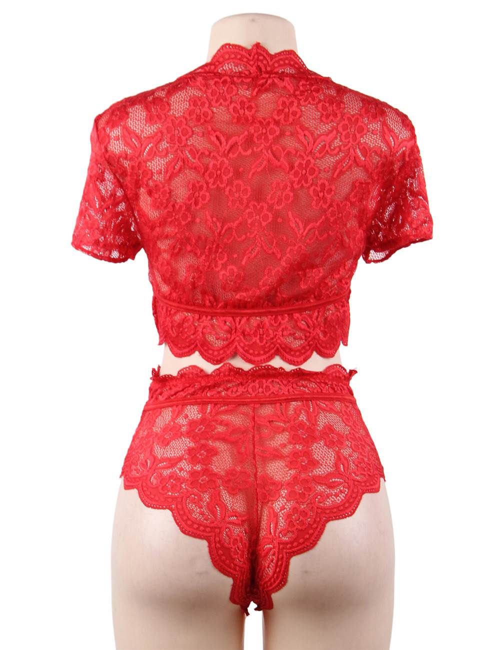 Red Glossy Lace Bra & High - Waist Panty Set – Deep V - Neck Crop Top - TeaseFashion