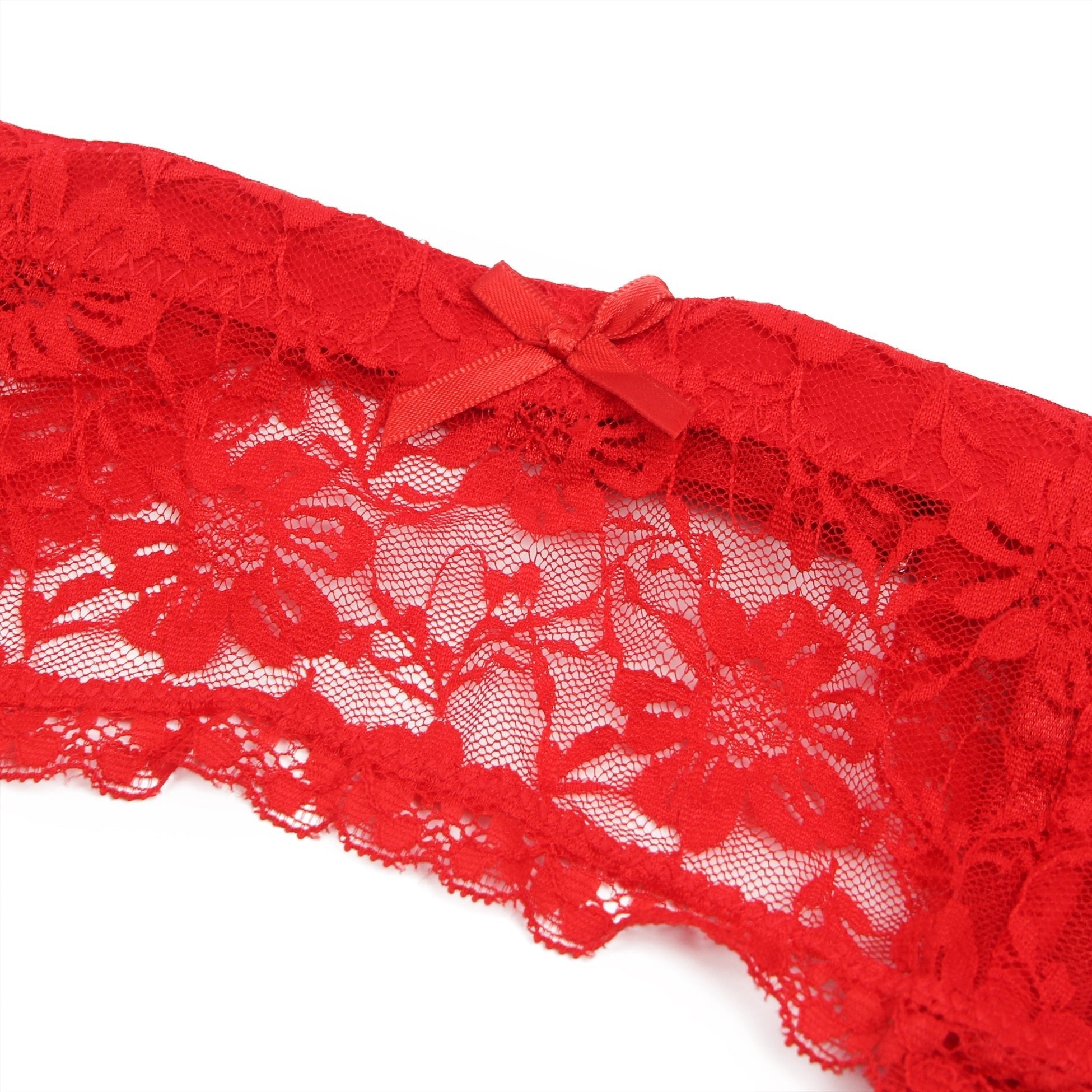 Red Lace Mesh Garter Belt Set with 9 - Buckle Waist & Steel Fittings - TeaseFashion