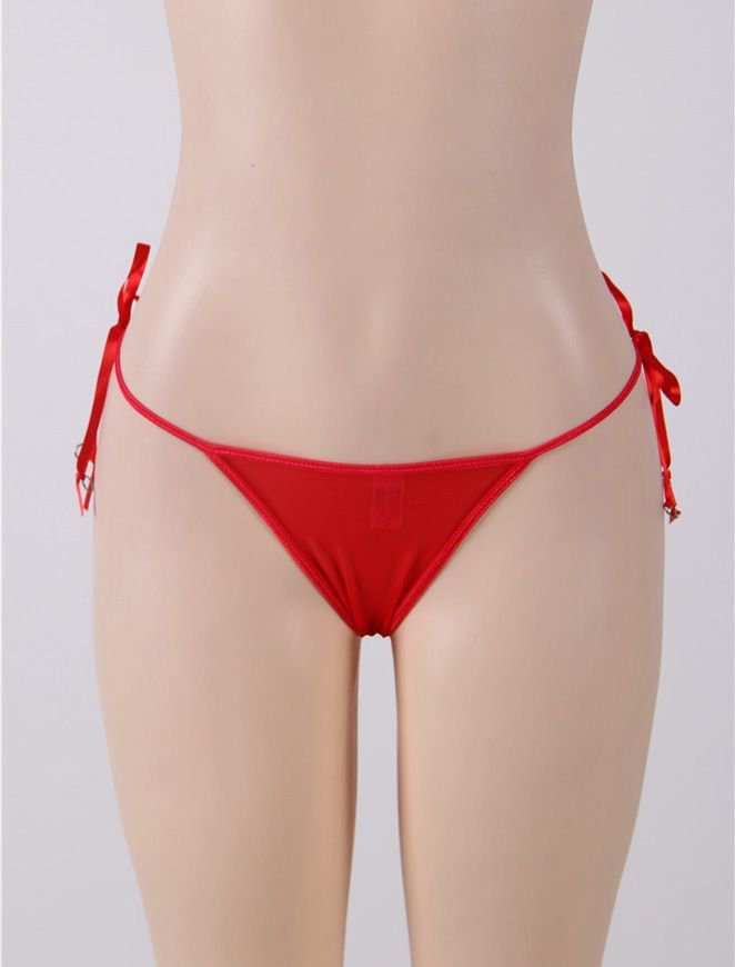 Red Mesh Panty – 3D Water - Soluble Floral Embroidery, Ribbon Waistband with Metal Rings & Multiple Elastic Waistbands - TeaseFashion